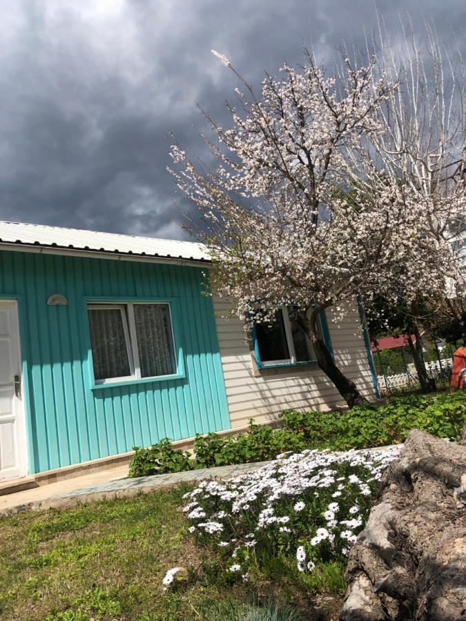 דירות Cirali Marina Loft מראה חיצוני תמונה