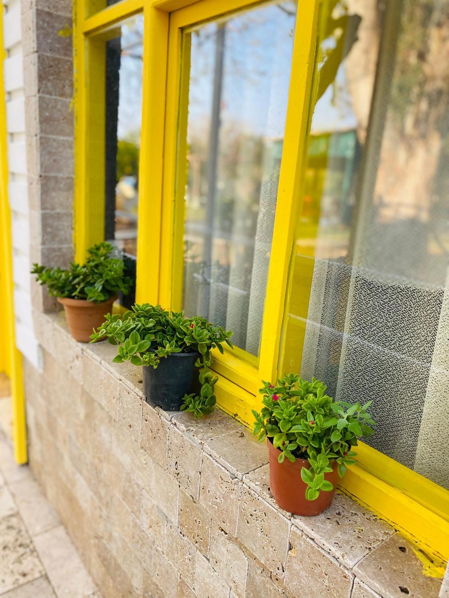 דירות Cirali Marina Loft מראה חיצוני תמונה