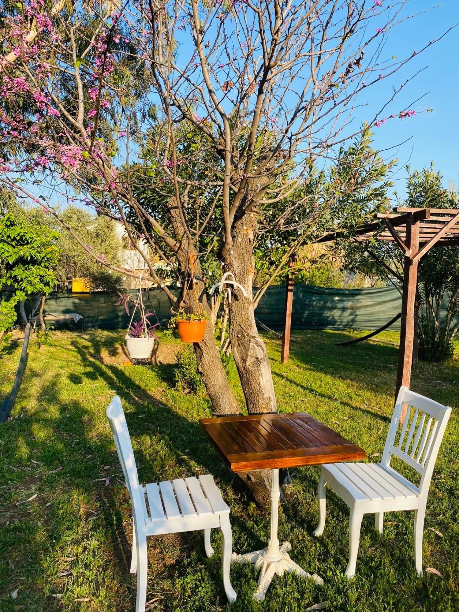 דירות Cirali Marina Loft מראה חיצוני תמונה